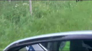 Дикий медведь испытал паническую атаку на трассе в Лодейнопольском районе