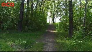 Пруд, прогулочный мост, площадка для выгула собак и фудкорты: ачинцы придумали благоустройство рощи в Авиаторе