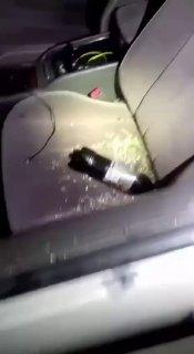 На Сахалине автомобилист сбил собаку и открыл стрельбу по хозяину пса.