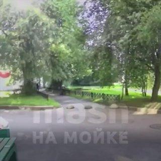 — Я встать не могу. — Ну не можешь — не вставай. Протеиновый король из Питера...