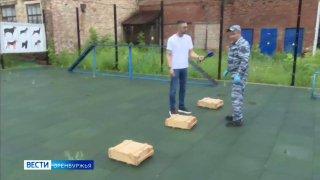 Ищут наркотики, оружие и людей: 40 собак служат в полиции Оренбурга Собаки...