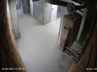 Трое подростков распылили несколько огнетушителей в зоне кладовок дома на...