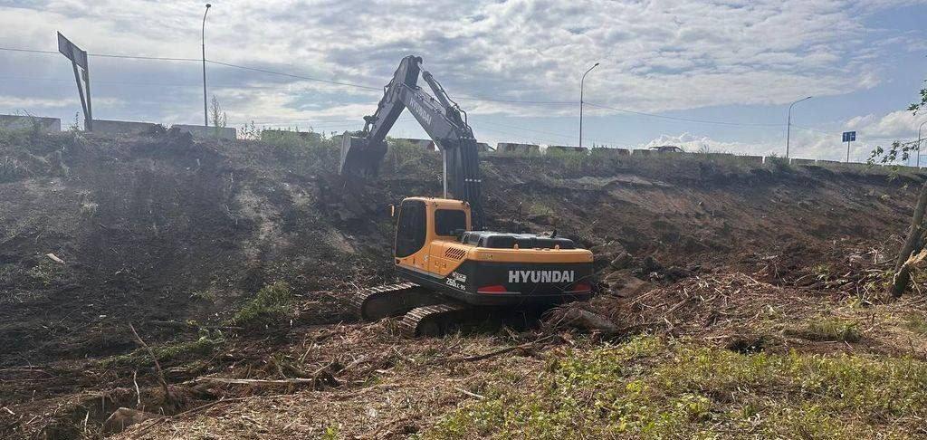В Оренбурге вырубают деревья у мкр. Солнечный для расширения трассы На ул....