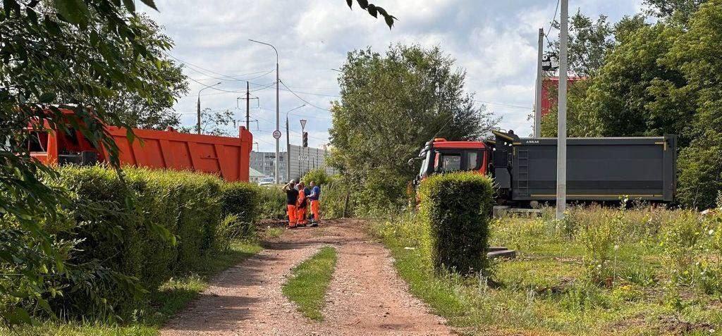 В Оренбурге вырубают деревья у мкр. Солнечный для расширения трассы На ул....
