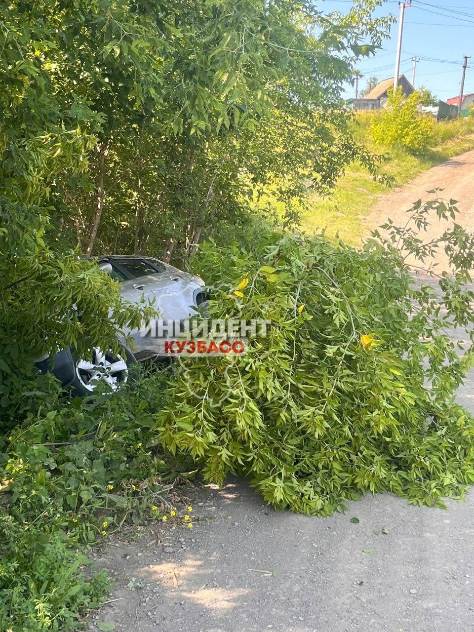 Сильно пьяная женщина села за руль и чуть не улетела с дамбы — спасли деревья, сообщает очевидец.