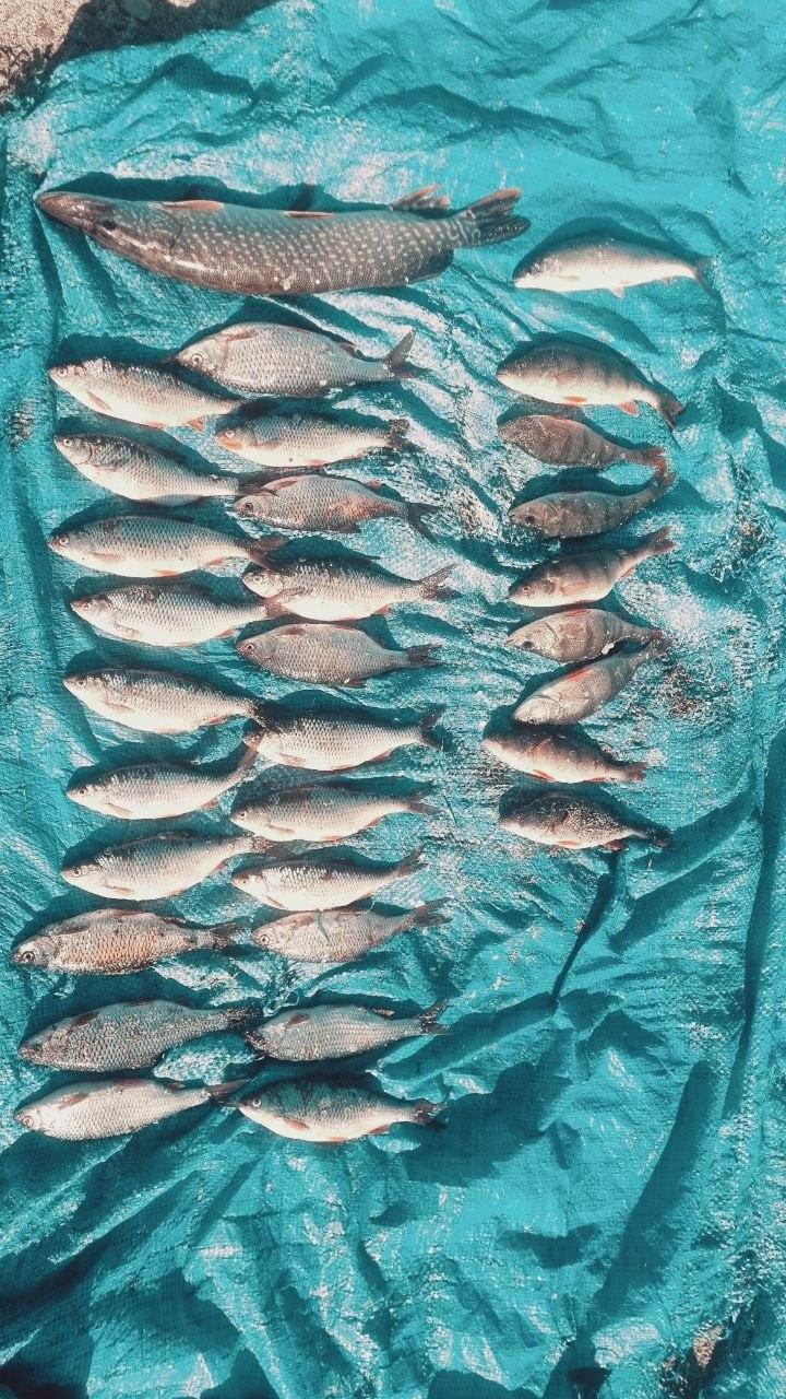 На Байкале задержали браконьера с уловом.