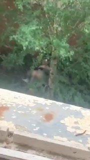 В Новочеркасске пьяная студентка устроила голый перфоманс в центре города: она удовлетворяла себя фонтаном и совокупилась с мигрантом 18+