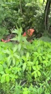 70-летняя старушка неудачно выехала с парковки на западе Москвы: она...