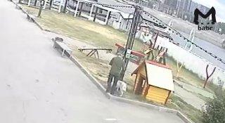 Бессердечный хозяин бросил свою собаку возле зоопарка в Иркутске. Мужчина...