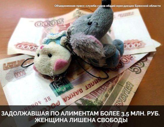 Клинцах задолжавшую более 3,5 млн рублей алиментщицу отправили на полгода в колонию