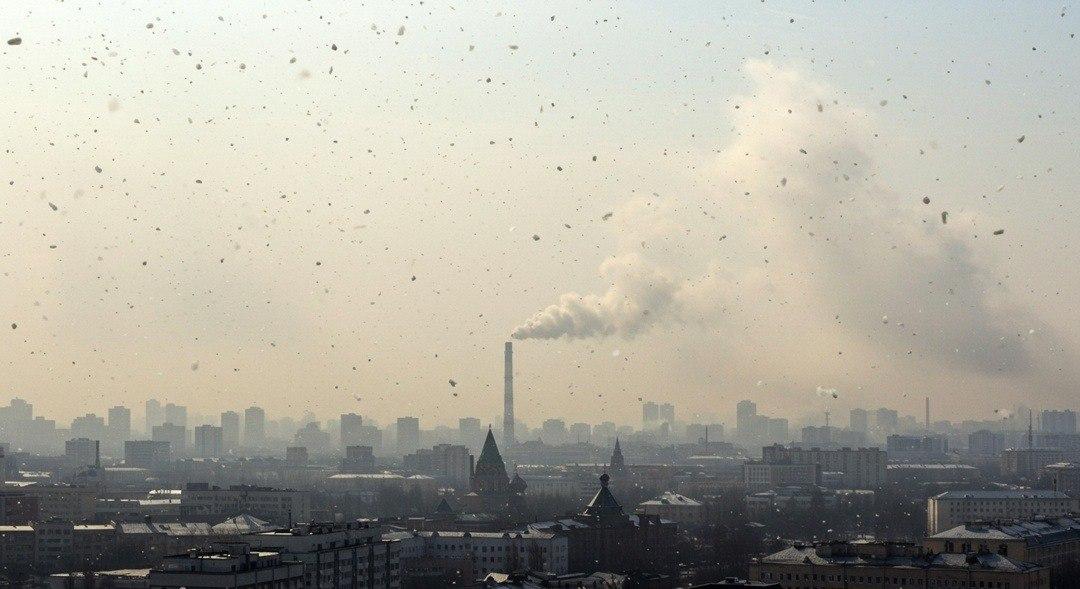 Опасное вещество, вызывающее мутации, зафиксировали в воздухе Новосибирска