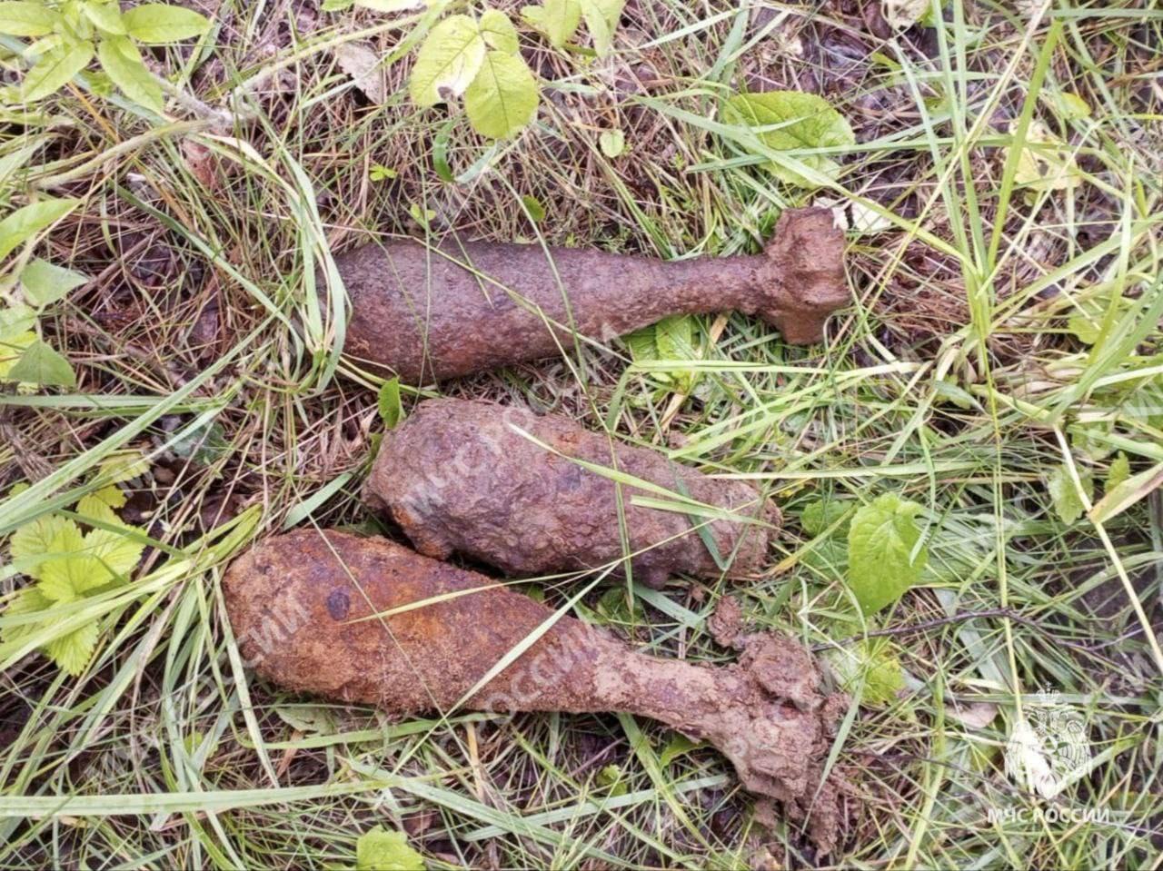 В Рогнединском районе обезврежены взрывоопасные предметы времён ВОВ