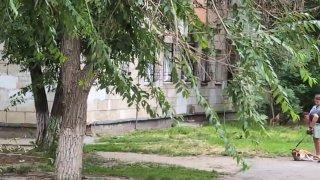 В Волгограде очевидец заметил как мужчина ударил собаку кулаком и ногой в...