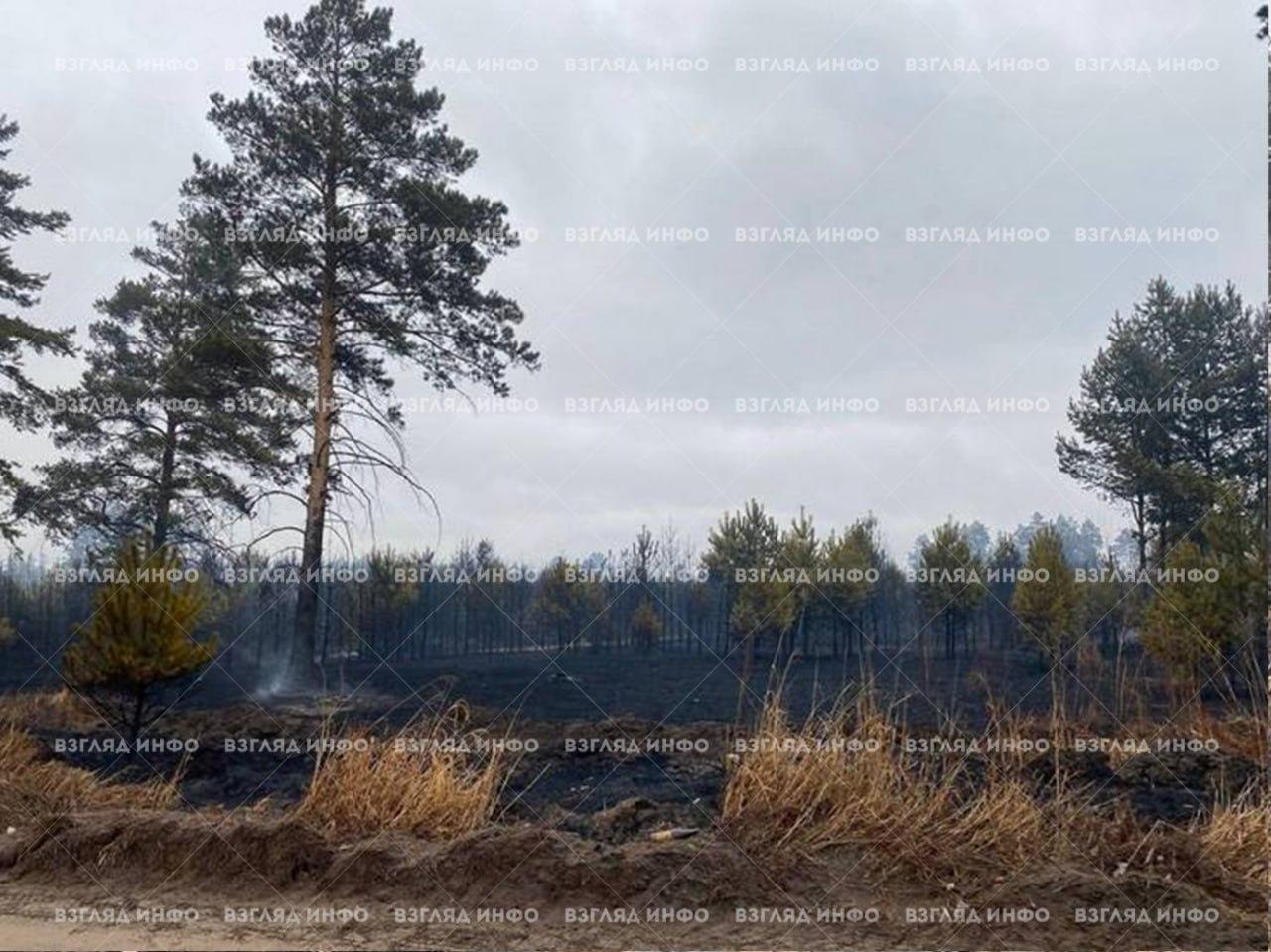 Минусинские дачники взыскали с администрации района 600 тысяч за пожар