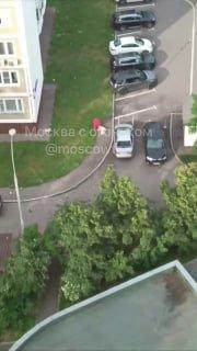 На 4-м Войковском проезде заметили очень грубое обращение с собакой на...