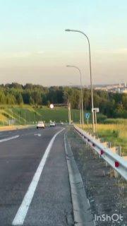 На Кемеровской трассе снова заметили бесстрашного лося. 🇷🇺 Источник: ЧП Кузбасс