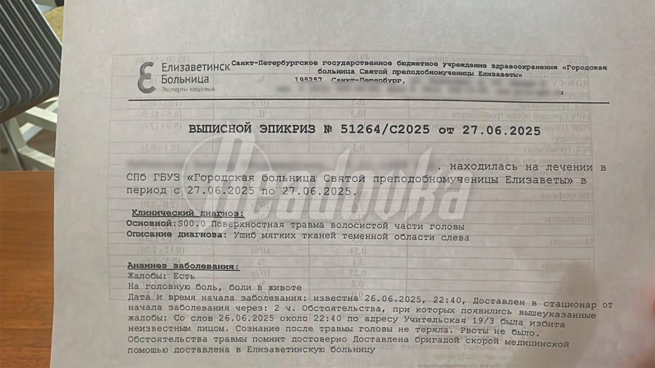 «Твоя свобода, су*а, заканчивается там, где начинается другая, б**дь» — в Питере одна собачница преподала урок обществознания другой на кулаках