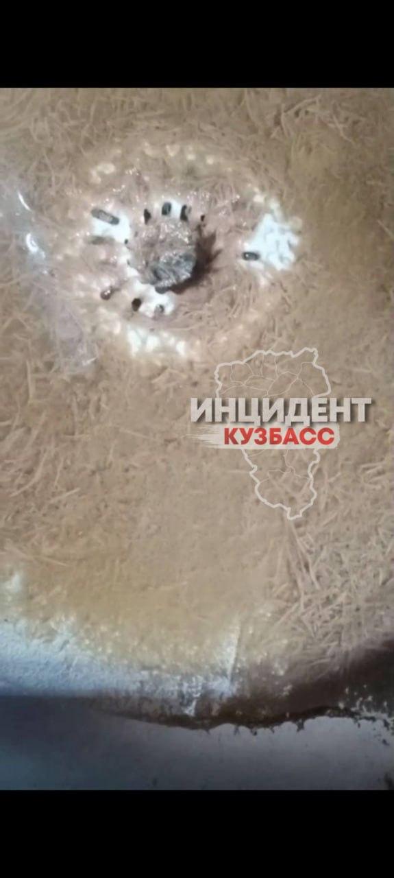 Жители Мариинска жалуются на проблемы с водой.