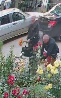 В подмосковном Климовске двое мужчин собрали букеты с клумбы во дворе дома....
