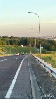 Внимание, лось переходит дорогу в Кемерово.