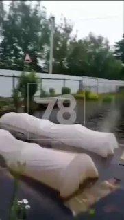 Жители Вырицы сообщают о масштабном подтоплении: дворы затоплены до уровня...