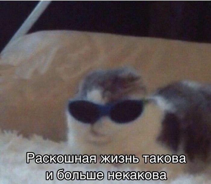 День изобретения солнцезащитных очков отмечается сегодня!