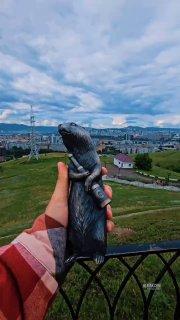 Нового бронзового суслика установили в Красноярске.