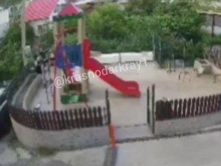 Кузбассовец жестоко избил дворовую собаку в Сочи