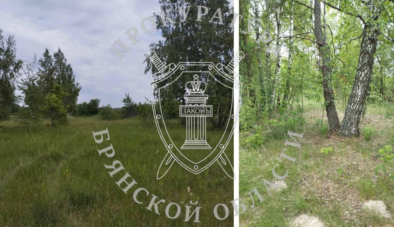 В Новозыбкове, в живописном месте, были выделены участки для многодетных семей. Однако их поразила одна деталь — полное отсутствие необходимых коммуникаций