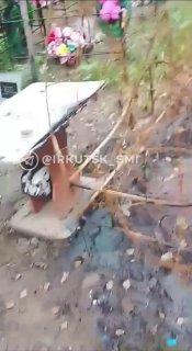 Могилу участника СВО сожгли в Иркутском районе