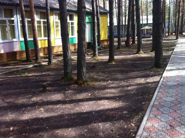 Воспитателя «Соснового бора», где подростки надругались над мальчиком, уволили