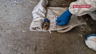 Схрон ВСУ с самодельными бомбами для беспилотников, начиненными отравляющим веществом хлорпикрином, обнаружили около села Ильинка в ДНР, сообщила ФСБ.