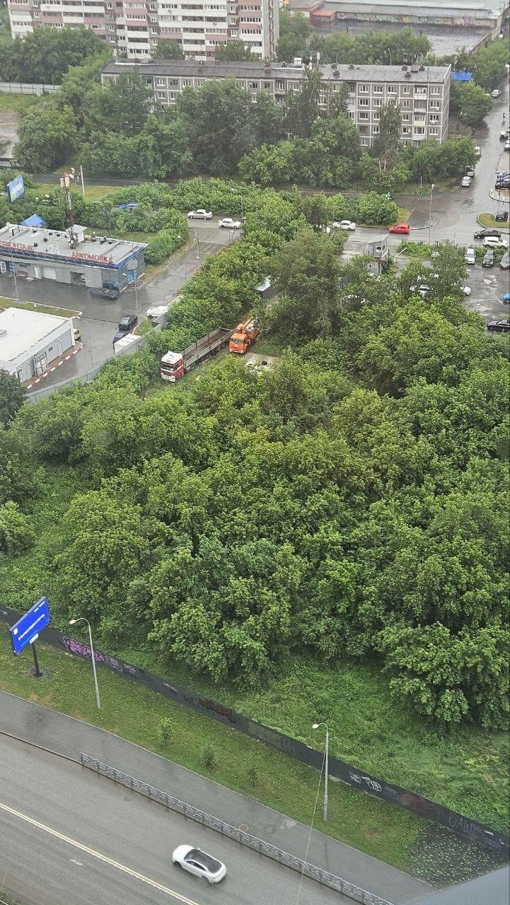 В Екатеринбурге на Ботанике, как и опасались местные жители, начали вырубку деревьев.