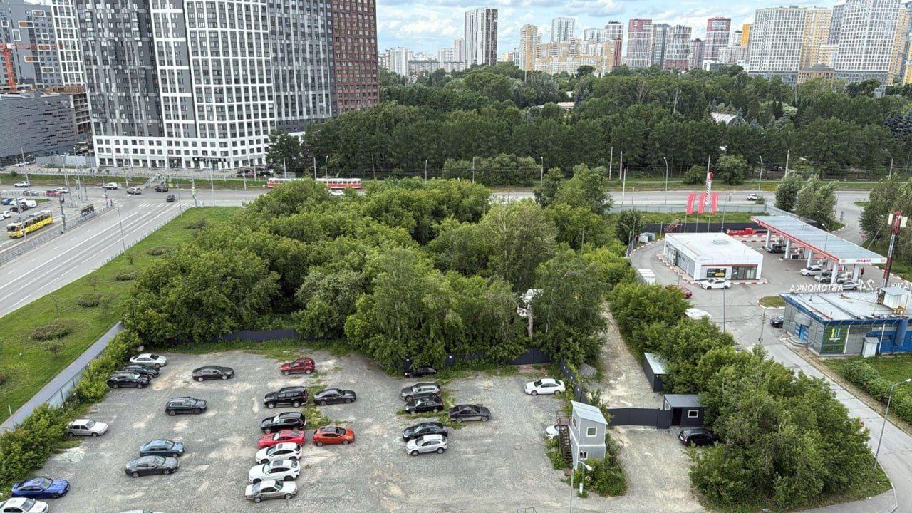 В Екатеринбурге на Ботанике, как и опасались местные жители, начали вырубку деревьев.