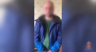 Домашняя плантация на Мате Залки: красноярец вырастил почти сотню кустов...