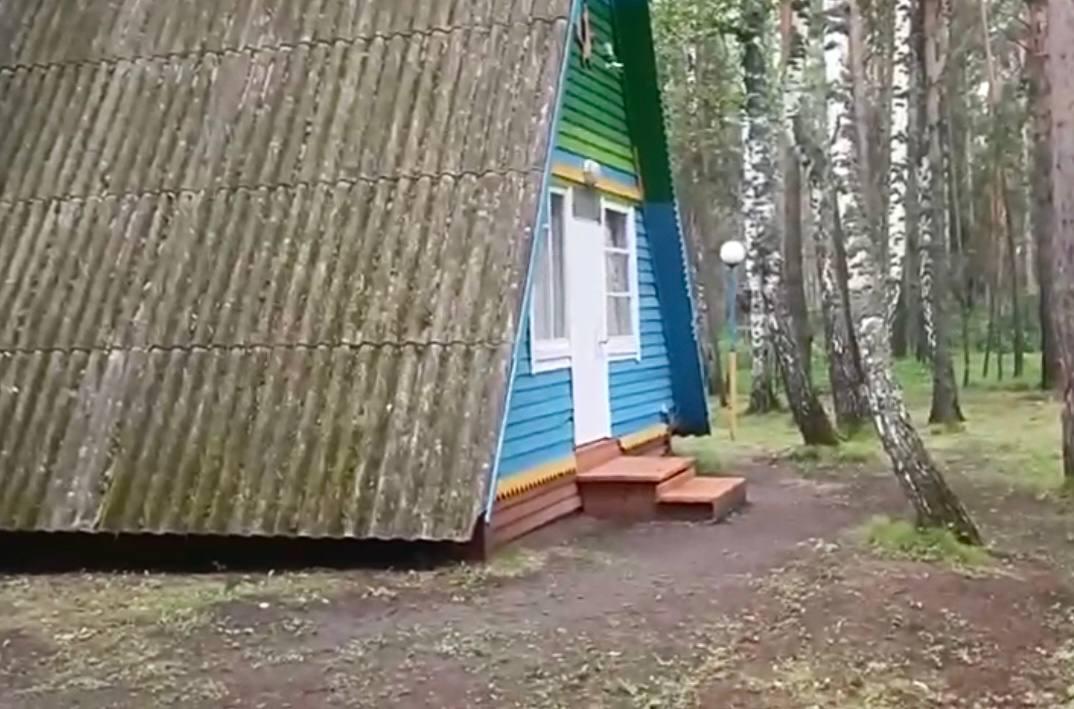 Уголовное дело о халатности завели после надругательства над 10-летним мальчиком в лагере под Красноярском