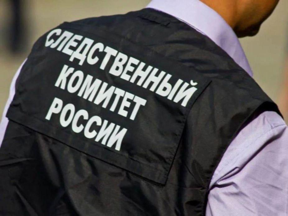 Полиция задержала 35-летнено жителя Каменска-Уральского, который являлся...