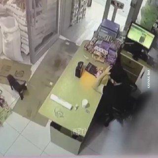 В Турции кот напугал продавца магазина — он подвинул коробку и сразу же скрылся.