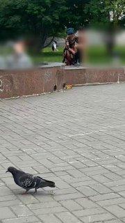 Цыгане устроили водные процедуры в фонтане на Снегирях Несколько мальчишек и...