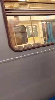 На станции «Владыкино» мужик в трусах бегал по вагону и не хотел выходить....