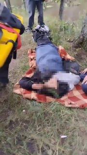 В подмосковном лесу округа Черноголовка подросток пошел с приятелями на...