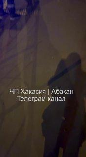 Пытались спасти котенка, я залез на дерево в мертвую точку, не слезть не...