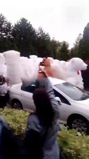 В подмосковном Красногорске на день рождения заказали сразу 100 белых медведей-аниматоров — почти всех, кто работает в Москве и области