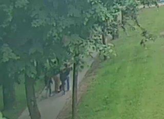 В Красном Селе арендный самокат задымился прямо на ходу во время движения...
