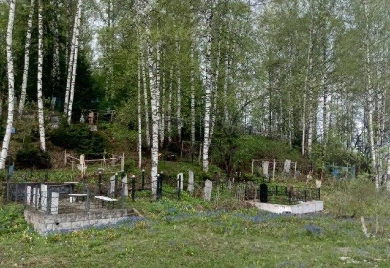 В Междуреченске медведь вышел на местное кладбище и распугал людей.