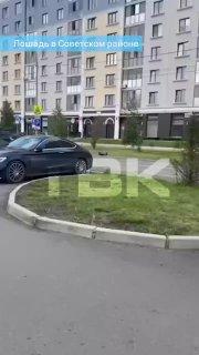 Лошадь разгуливает по Советскому району