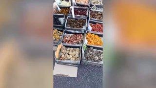 В Выборге предприимчивые торговцы выдали окрашенных цыплят за дорогих...