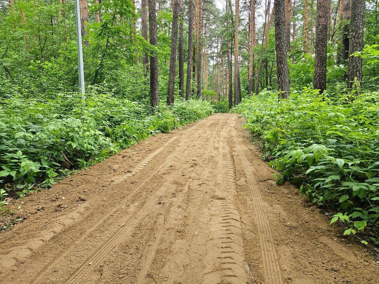 В парке Маяковского начали обновление тропы здоровья.