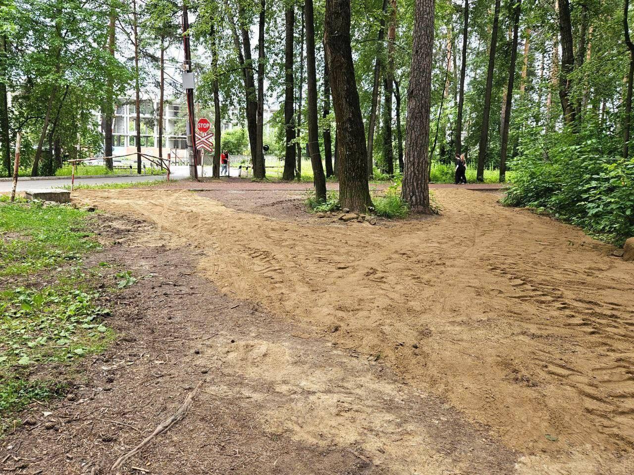 В парке Маяковского начали обновление тропы здоровья.