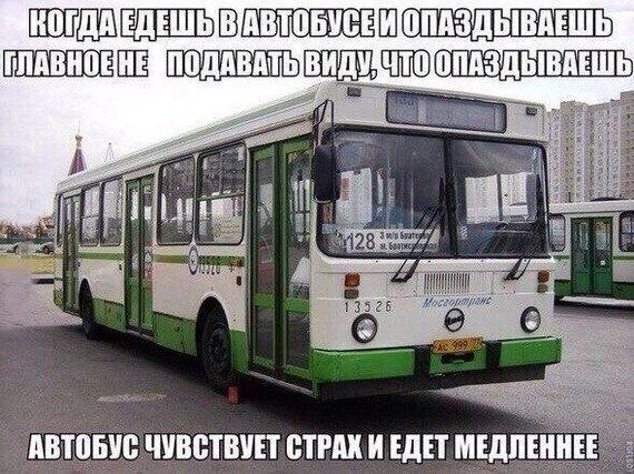 Оправдать «случайное» опоздание на работу или учёбу задержкой автобуса, возможно, будет сложнее